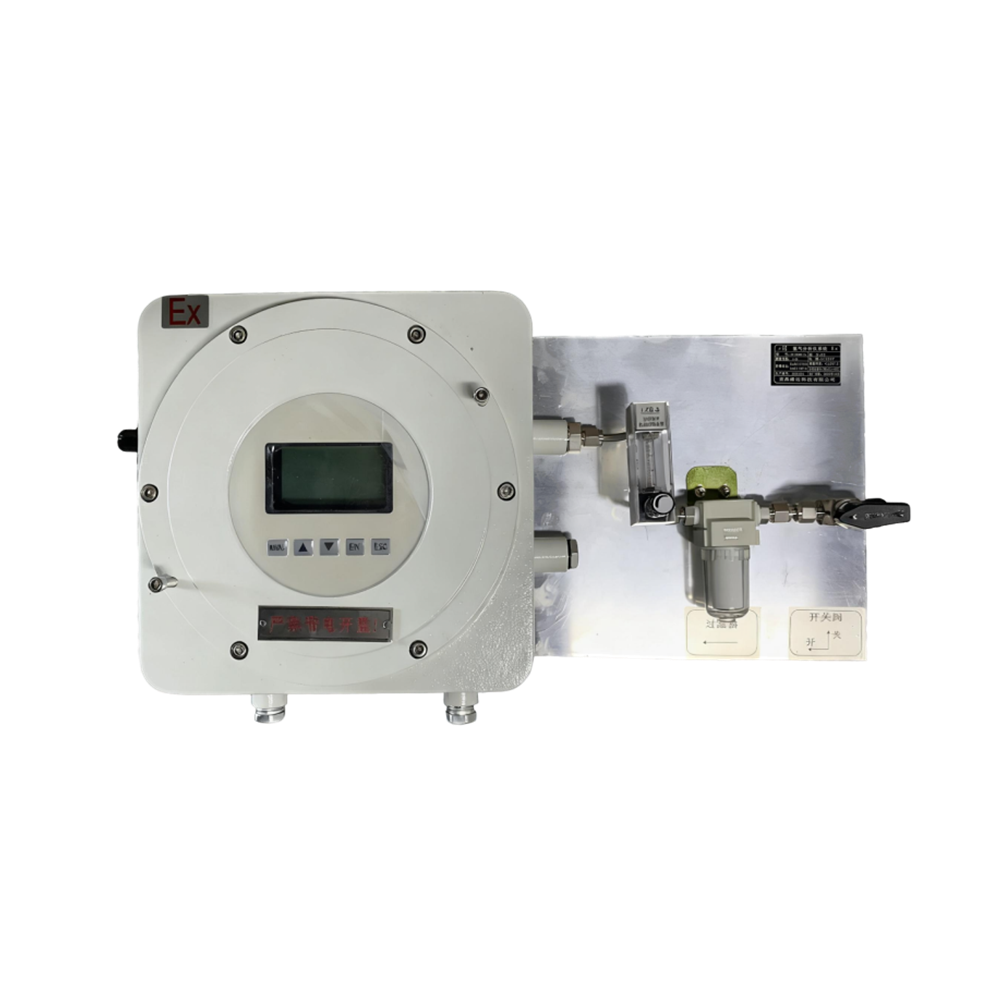 防爆型氫氣分析儀系統(tǒng)